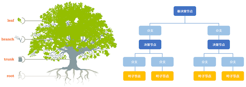 机器学习-决策树 image: tree
